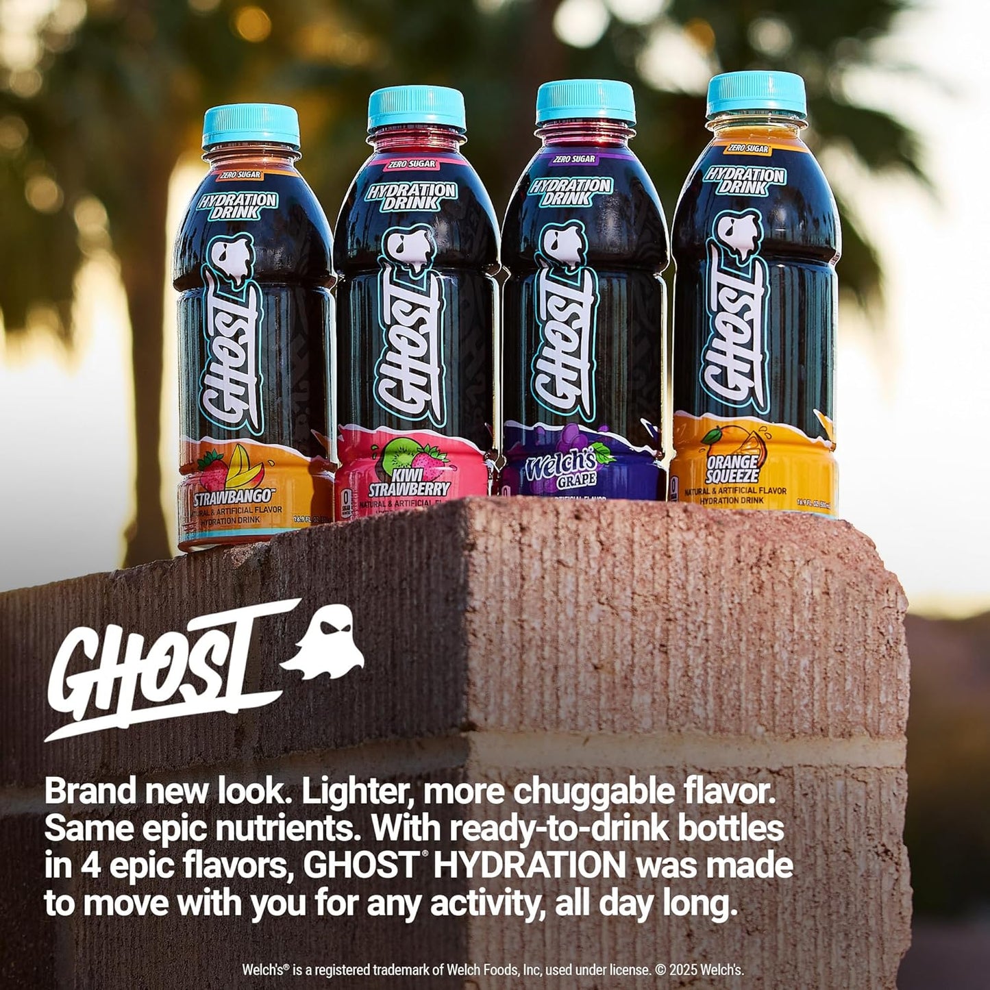 GHOST Hydration Drink, Welch’s Grape - RTD Sports Drink with Electrolytes, Natural Vitamins & Minerals - All Day Lifestyle Hydration Beverage - Zero Caffeine & Zero Sugars - 16.9 Fl Oz, 12 Pack