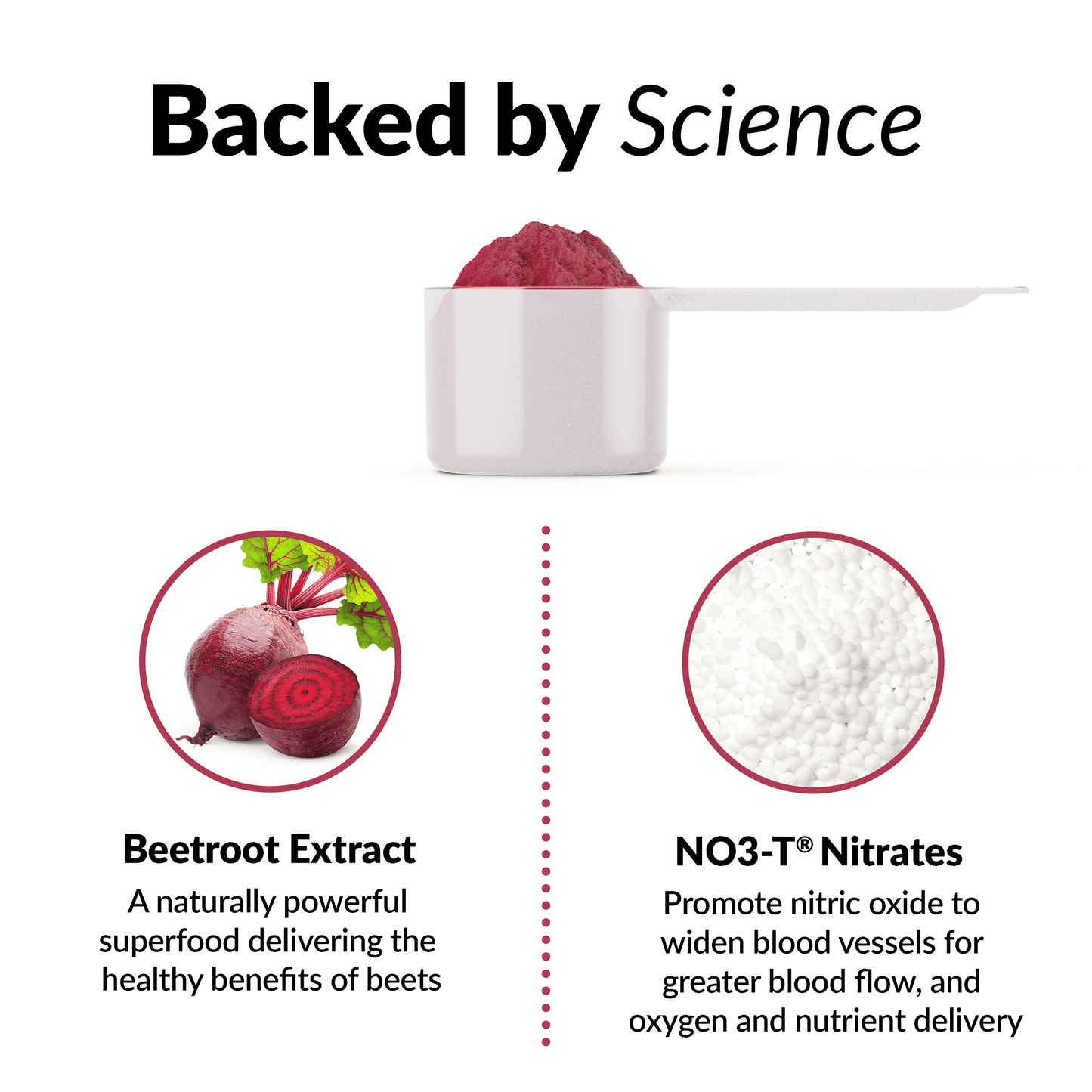 Force Factor-Total Beets, Beetroot Powder Juice Mix Supplement, 30 Servings