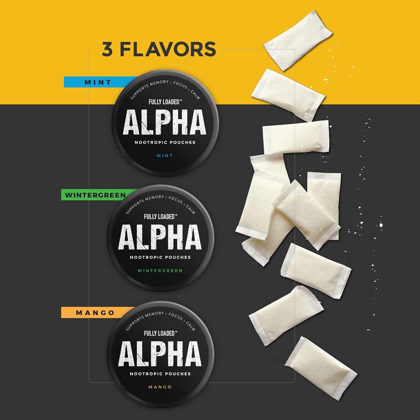 Fully Loaded Alpha Nootropic Pouches (Mint) - 5 Cans - 15 Pouches per can - Effective Nootropic Delivery, Nic Pouch Replacement - Faster Absorption, Alpha GPC, L-Tyrosine, GABA