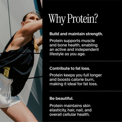 David Protein Protein Bar - Chocolate Chip Cookie Dough (24 Bars)